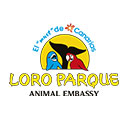 Loro Parque en Tenerife